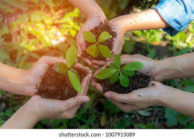 Hands People Gardener And KidsTeam Work Family Cupping  Young Tree Plant Nurture Environmental And Reduce Global Warming Earth, Outdoor Education. Ecology Concept
