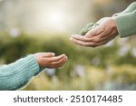 Hands, people and plants for earth day, future sustainability or climate change hope. Closeup, leaf and growth in soil for child, environment or support of nature, planet love or ngo accountability