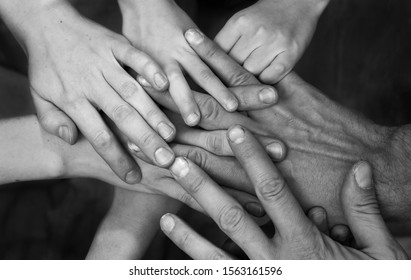 The Hands Of People From The Same Family, Consisting Of A Man, A Woman And Two Daughters Of Different Ages.