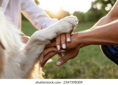 hands of people together with dog paw in park at sunset together, teamwork gesture with animal, close-up of family hands and paw of golden retriever, concept of love and care for pets - Powered by Shutterstock