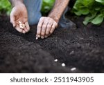 Hands planting seeds into rich soil, symbolizing sustainable gardening and nurturing growth for a healthier environment. Ideal image for green thumb enthusiasts.