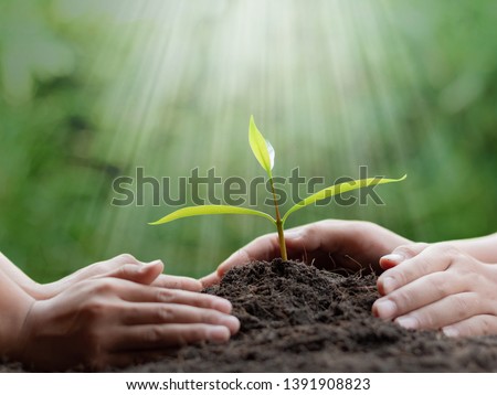 hands planting young tree on the black soil,save world concept