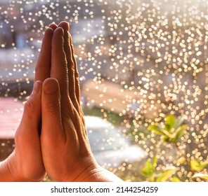 Hands In Prayer Pose Namaskar