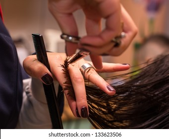 Hands of professional hair stylist - Powered by Shutterstock