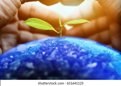 Hands protect Growing plants on globe. Save Earth Planet World Concept. World environment day. safe the world
