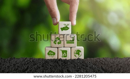 Hands protecting the earth of green trees on summer background, tropical nature, ecology and environment.