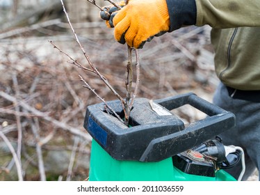 Hands put branches into garden shredder - Shutterstock ID 2011036559