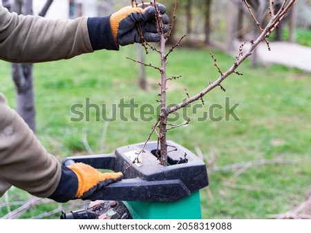Hands put branches into garden shredder