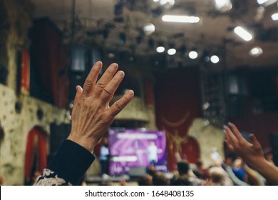 Hands Raised In The Crowd. A Group Of People Stretches Out Their Hands. Bright Lighting. Personal Growth Training. Warm-up For The Audience - All Raised Their Hands Up And Reach Up