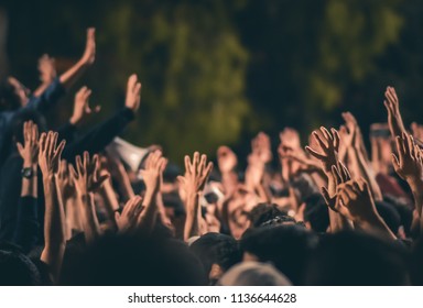 Hands Raised In Protest