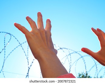 Hands Reach Up To The Barbed Wire Against The Blue Sky