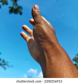 Hands Reaching Up Picking Green Leaves Bright Blue Sky