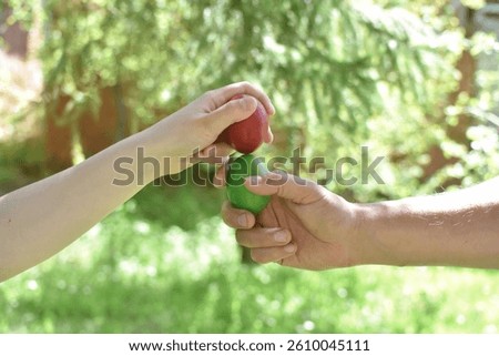 Hands with red Easter eggs knocking.  Ready for egg tapping. Happy Easter!