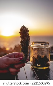 Hands With Red Nails Holding A Big Marijuana Bud (weed Head), Glass Jar With More Marijuana Buds And Beautiful Sunset Sky And Sea