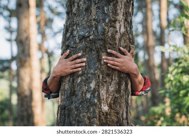 Hands rest gently on a tree trunk. Rough bark shows texture and age. Red checkered shirt sleeves peek through. Tall trees frame the forest background. Careful gesture suggests deep connection