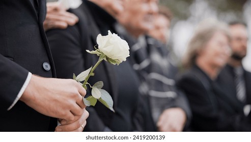 Hands, rose and a person at a funeral in a cemetery in grief while mourning loss at a memorial service. Death, flower and an adult in a suit at a graveyard in a crowd for an outdoor burial closeup