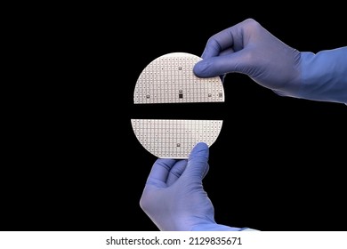 A Hands In A Rubber Glove Hold Broken Multilayer Semiconductor Silicon Wafer With A Microcircuit Chip Of A Powerful Darlington Transistor Isolated On A Black Background.