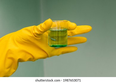 Hands In Rubber Yellow Gloves Hold A Test Tube With A Green Liquid. New Drug Development, Chemistry Experiment. Medical Laboratory