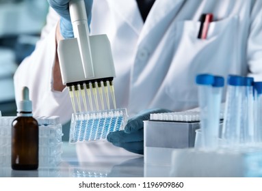 hands of scientist working with multichannel pipette and multi well plates. research technician with multipipette in genetic laboratory  - Powered by Shutterstock