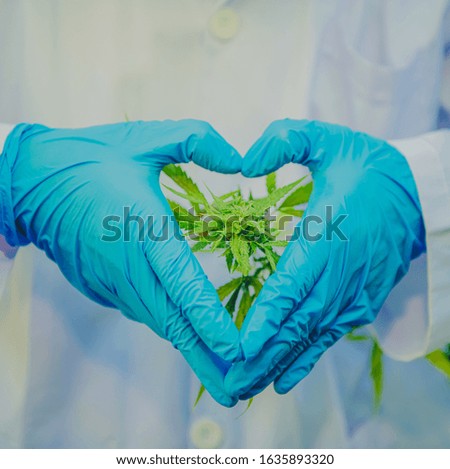 Similar – Image, Stock Photo cannabis leaf