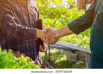 Hands shake after Farmer harvesting vegetable organic salad, lettuce from hydroponic farm to customers. - Powered by Shutterstock