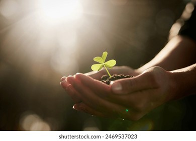 Hands, soil and holding plant with person for growth, development and sustainability in agriculture. Fertilizer, dirt and environment with sapling for hope, leaf and earth day or climate change - Powered by Shutterstock