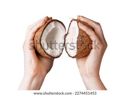 Hands with split coconut, two halves of coco nut in brown shell isolated on white background.