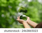 Hands support the earth with trees on the earth. Concept of environmental conservation. green business Goals for reducing greenhouse gas emissions world environment day and climate change