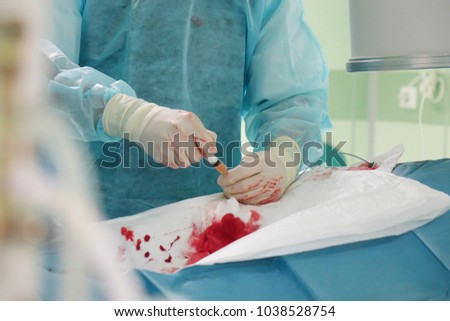 The hands of a surgeon.