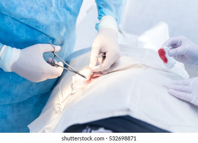 Hands Of Surgeon And Assistant During Surgery, Medical Instruments, Scalpel, Conceptual Photo Of Medicine