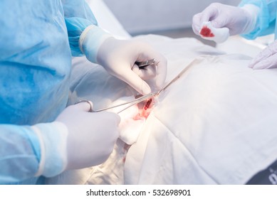 Hands Of Surgeon And Assistant During Surgery, Medical Instruments, Scalpel, Conceptual Photo Of Medicine