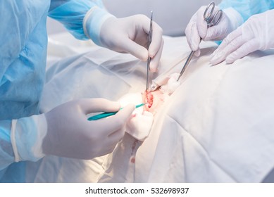 Hands Of Surgeon And Assistant During Surgery, Medical Instruments, Scalpel, Conceptual Photo Of Medicine