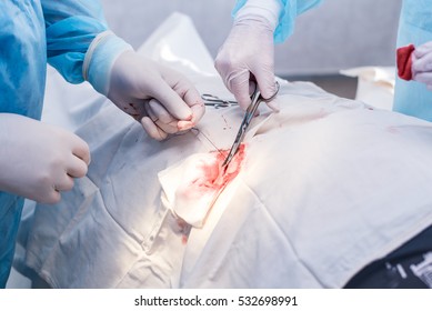 Hands Of Surgeon And Assistant During Surgery, Medical Instruments, Scalpel, Conceptual Photo Of Medicine