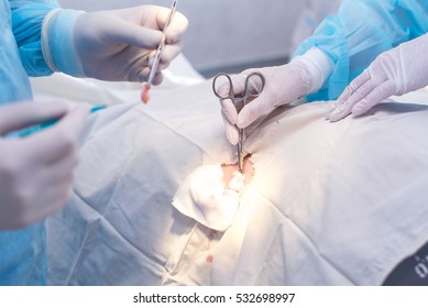 Hands Of Surgeon And Assistant During Surgery, Medical Instruments, Scalpel, Conceptual Photo Of Medicine