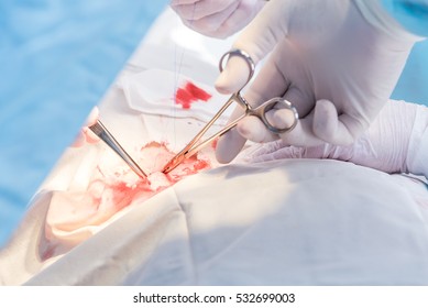 Hands Of Surgeon And Assistant During Surgery, Medical Instruments, Scalpel, Conceptual Photo Of Medicine