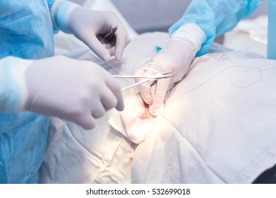 Hands Of Surgeon And Assistant During Surgery, Medical Instruments, Scalpel, Conceptual Photo Of Medicine