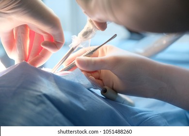 Hands of the surgeon of the dentist and the assistant in protective gloves with the instrument during the operation