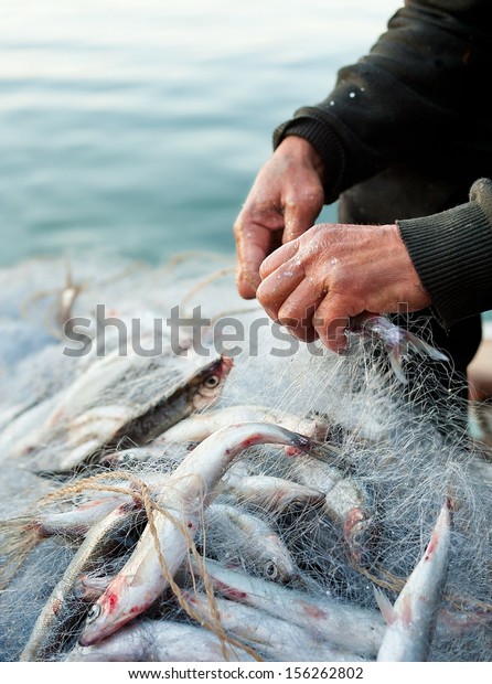 hands take fish out of a\
net