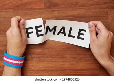 Hands Tearing The Word Female, Leaving Male, Wearing A Trans Pride Flag Bracelet. Conceptual Image About Gender Identity And Transgender. Wood Background.