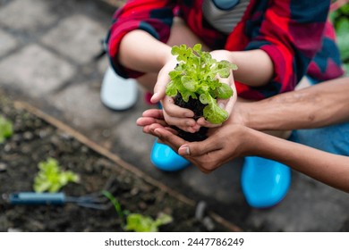 Hands of Teenage boy and girl growing organic vegetable on agriculture farm field in greenhouse garden. Diversity student learning and working nature and gardening healthy food for sustainable living. - Powered by Shutterstock