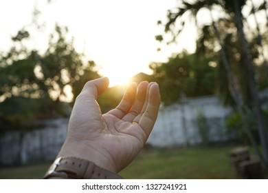 Hands that seize the opportunity in the light of the bright sun - Shutterstock ID 1327241921