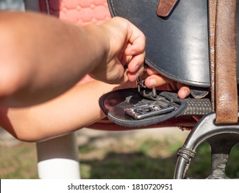 The Hands Tighten The Buckle On The English Saddle. Set Classic Leather Horse Saddle Before Riding Course