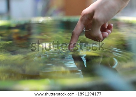 hands touch the surface of the water