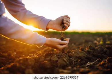 Hands touching soil on the field and checking soil health before growth a seed of vegetable or plant seedling. Business or ecology concept.