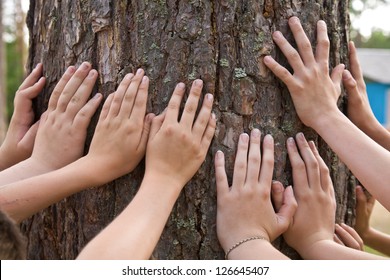 	It is a lot of hands at a tree