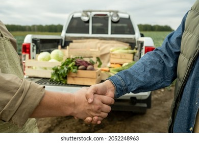 Hands of two farmers shaking hands against car trunk with vegetable harvest