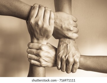 Hands united helping each other. In unity there is strength concept. 
