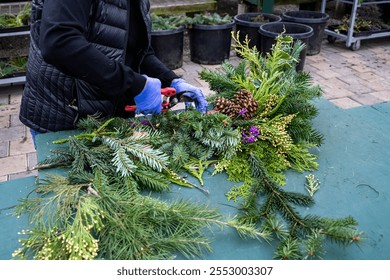 Woman’s hands using garden shears to cut fresh evergreen boughs in creating a beautiful Christmas wreath, celebrate the holidays with hand crafted décor
 - Powered by Shutterstock