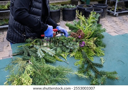 Woman’s hands using garden shears to cut fresh evergreen boughs in creating a beautiful Christmas wreath, celebrate the holidays with hand crafted décor
