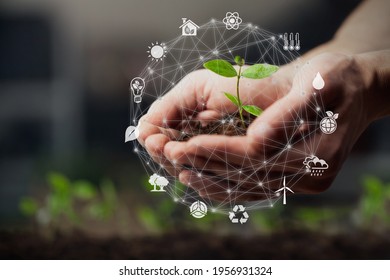 Hands using technology of renewable resources to reduce pollution and carbon emission . - Shutterstock ID 1956931324